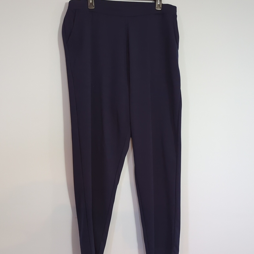 PLUS SIZE WOMAN WITHIN Blue Pants